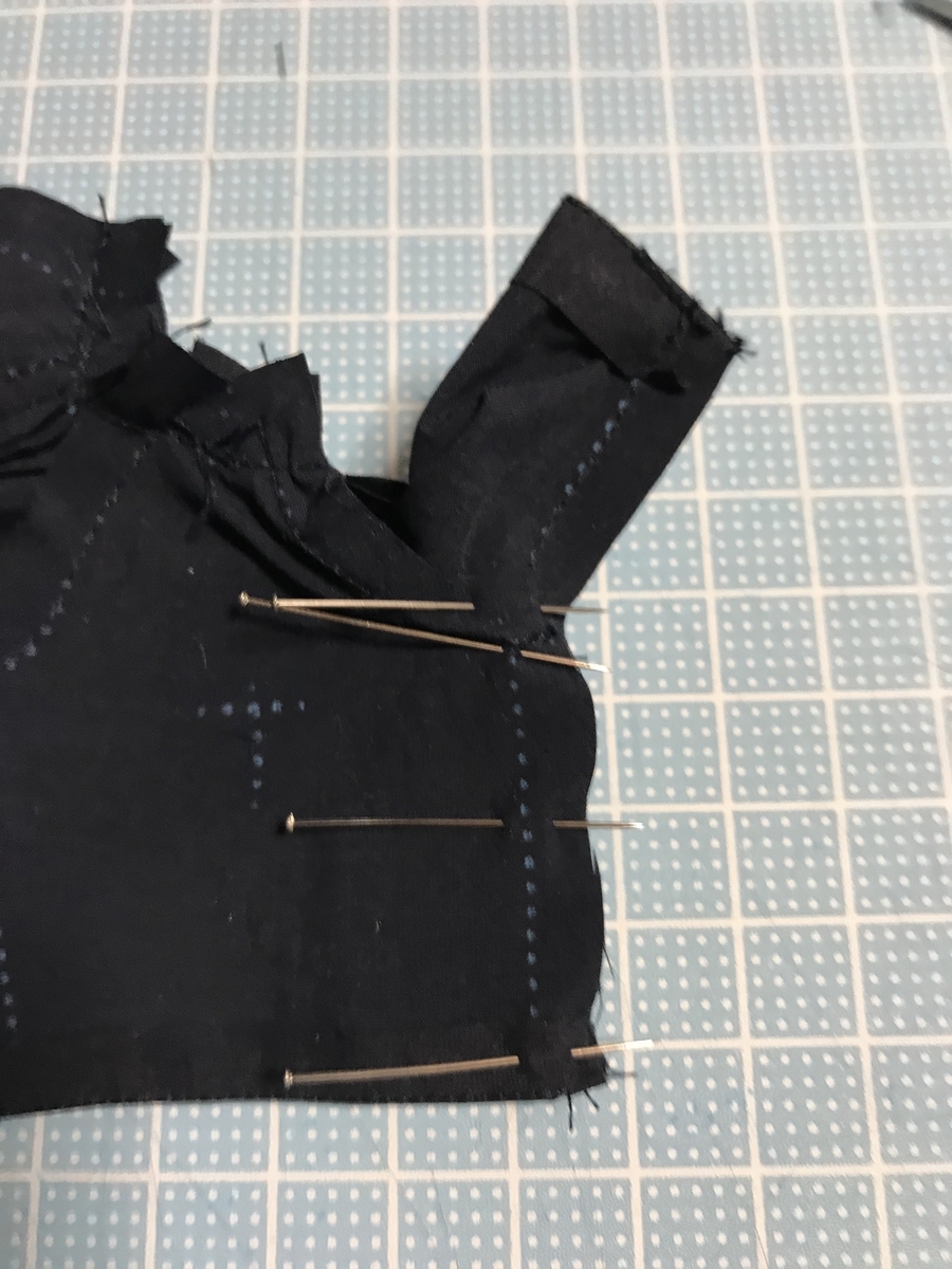 f:id:chupacabraufo:20201031200607j:plain