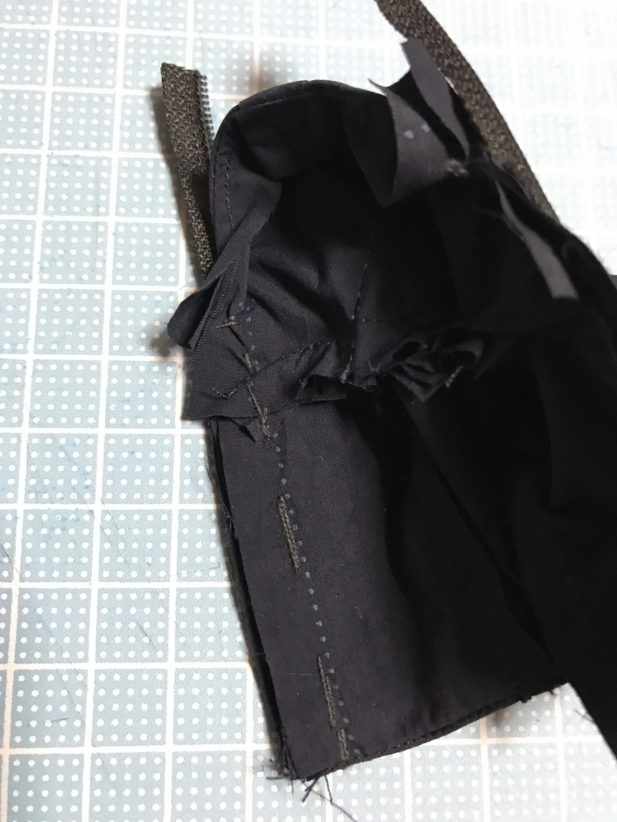 f:id:chupacabraufo:20201031201223j:plain