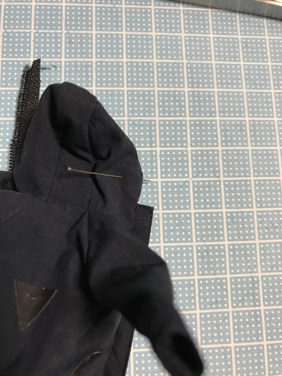 f:id:chupacabraufo:20201031203310j:plain