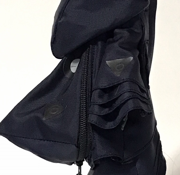 f:id:chupacabraufo:20201204210428j:plain