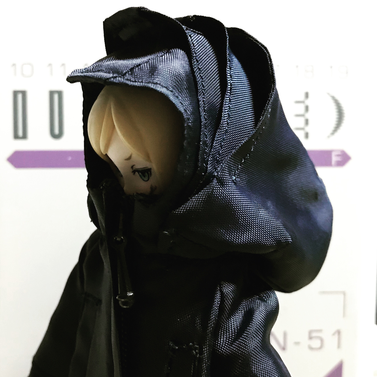 f:id:chupacabraufo:20201204212131j:plain