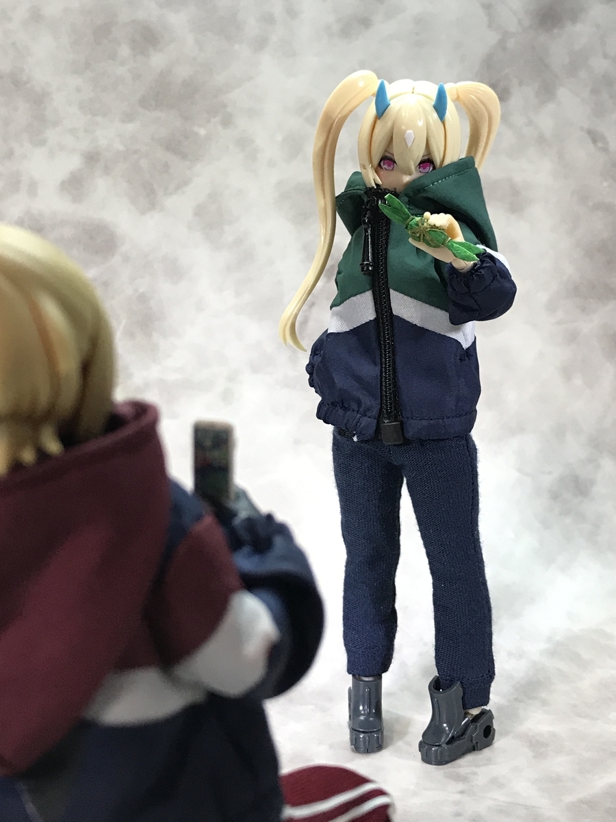 f:id:chupacabraufo:20220130013040j:plain