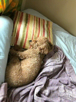 f:id:churabou:20180601130452g:plain f:id:churabou:20180601130452g:plain