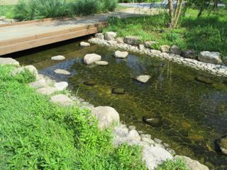 親水西公園2