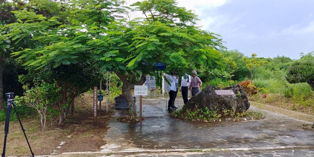 f:id:churaumichurashima:20180914115303j:plain