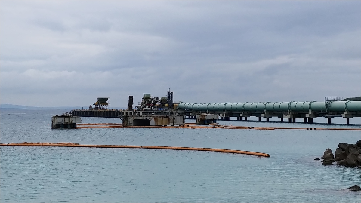 f:id:churaumichurashima:20210104224955j:plain