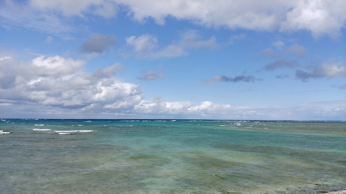 f:id:churaumichurashima:20210104225405j:plain