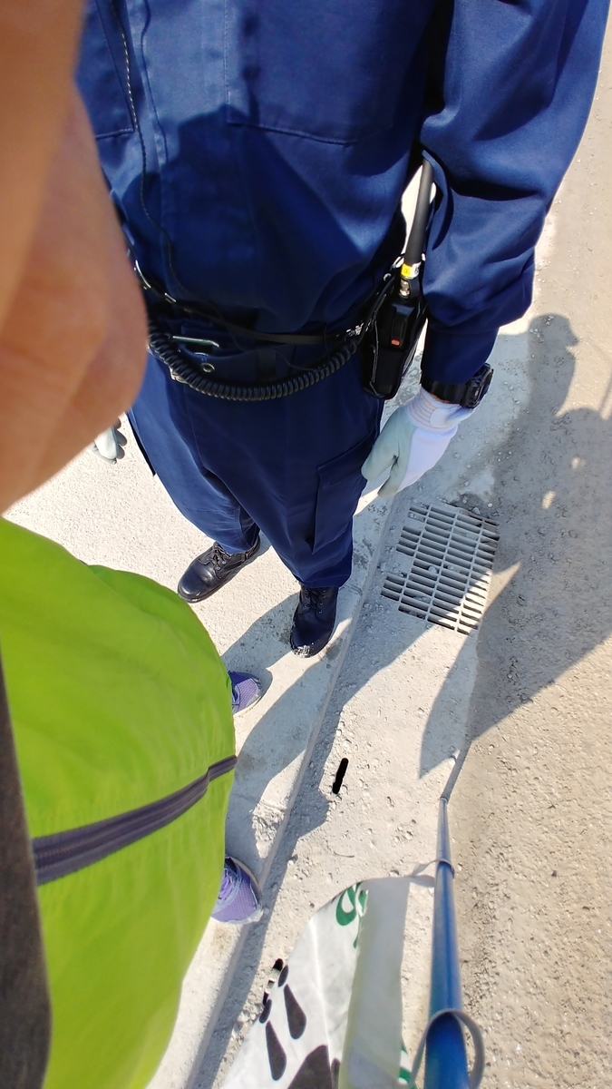 f:id:churaumichurashima:20210320214921j:plain