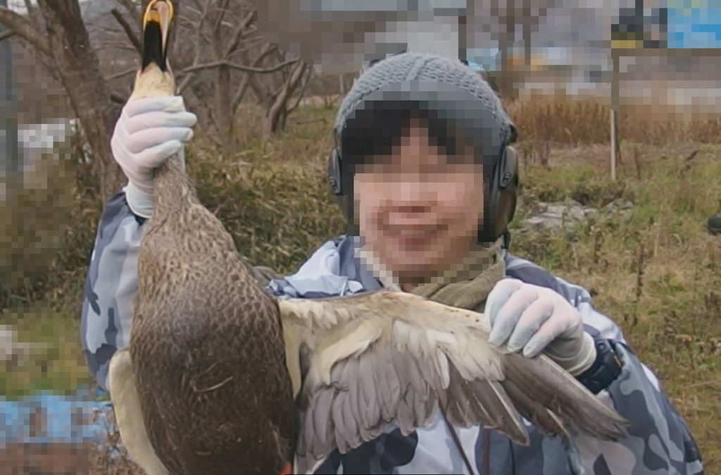 f:id:chusatokun:20190215213538j:plain