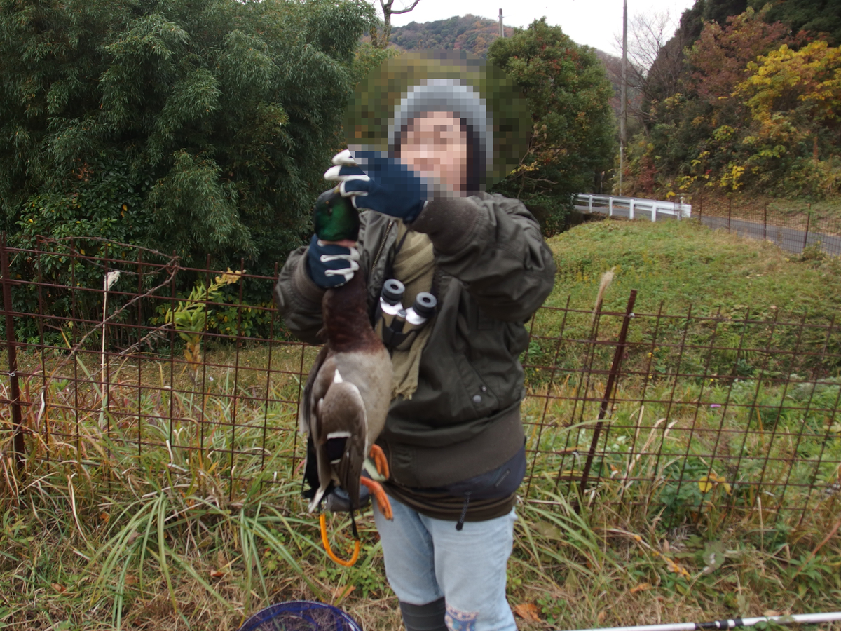 f:id:chusatokun:20191212213840j:plain