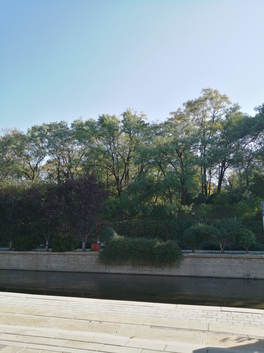 f:id:chutetsu:20191114172726j:plain