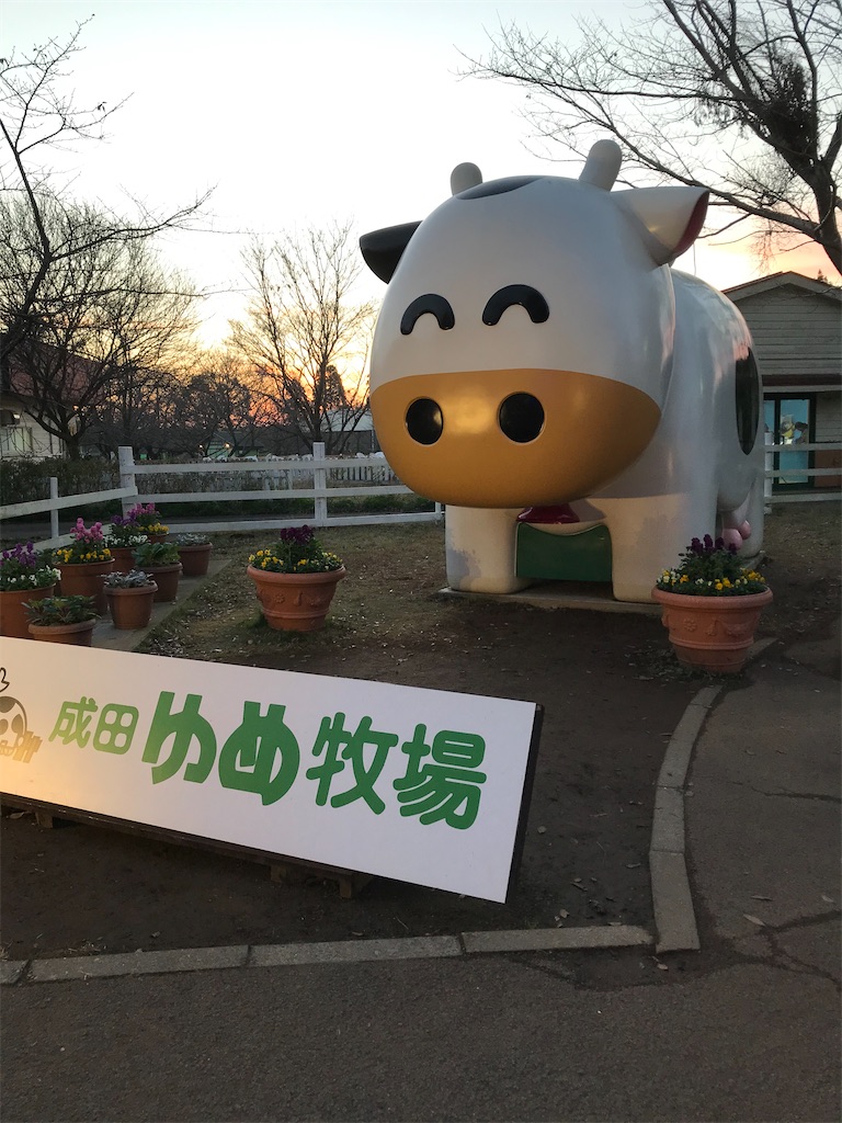 f:id:chutomari:20191206192552j:image