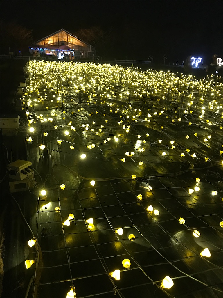 f:id:chutomari:20191206192556j:image