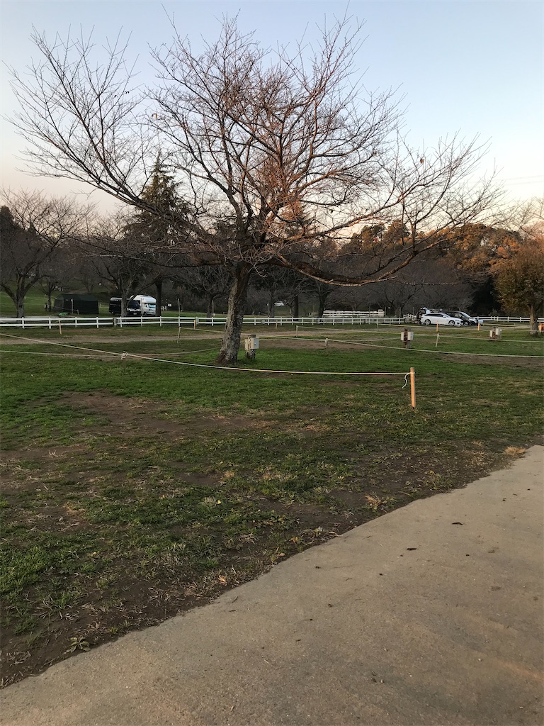 f:id:chutomari:20191206192923j:image