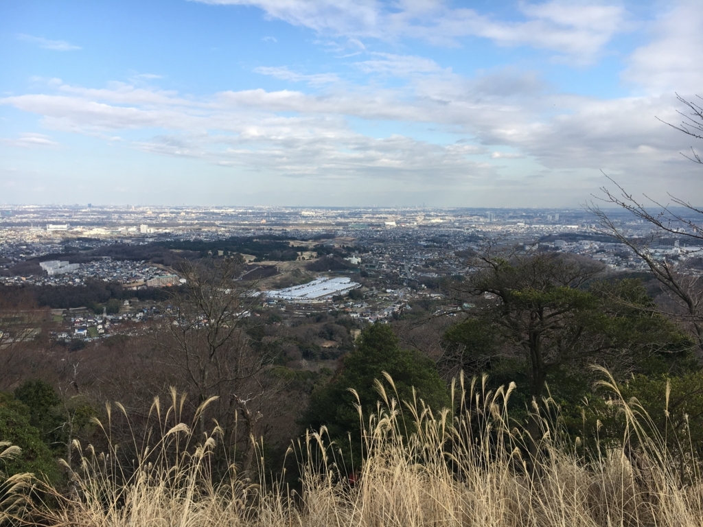 f:id:chutororo:20180311224508j:plain