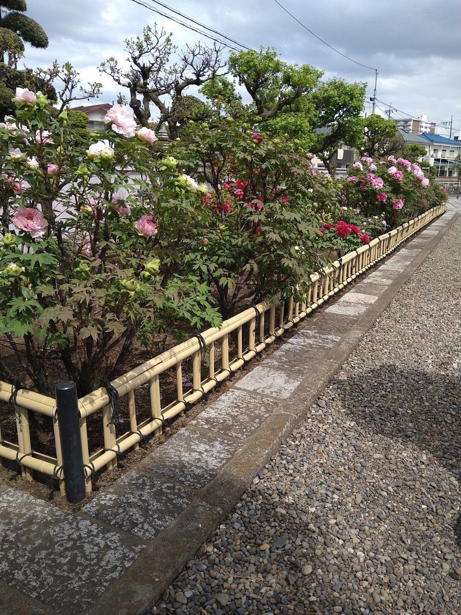 f:id:chuudaiji:20210406121819j:plain