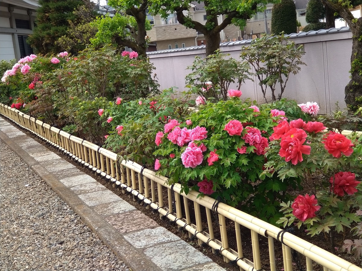 f:id:chuudaiji:20210406122013j:plain