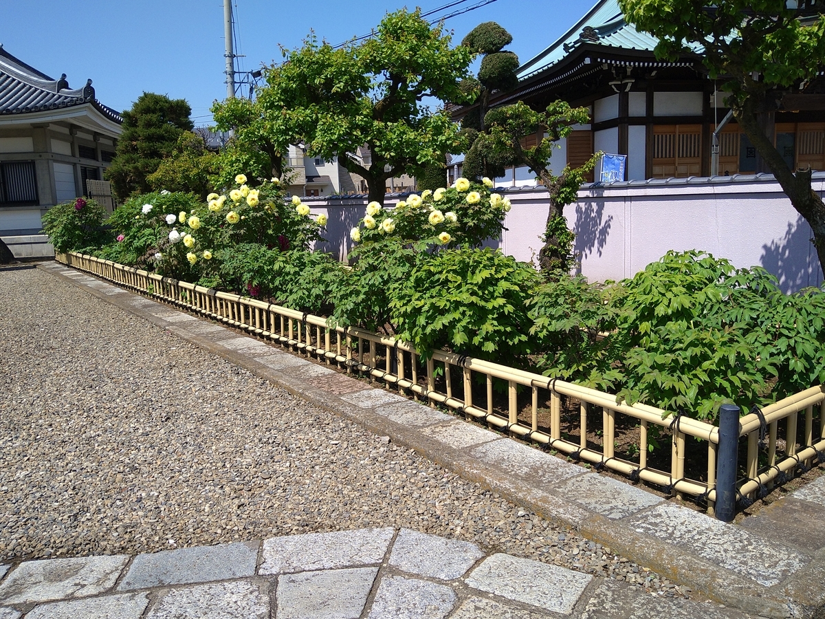 f:id:chuudaiji:20210420102633j:plain