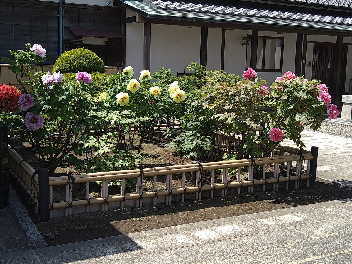 f:id:chuudaiji:20210420102846j:plain