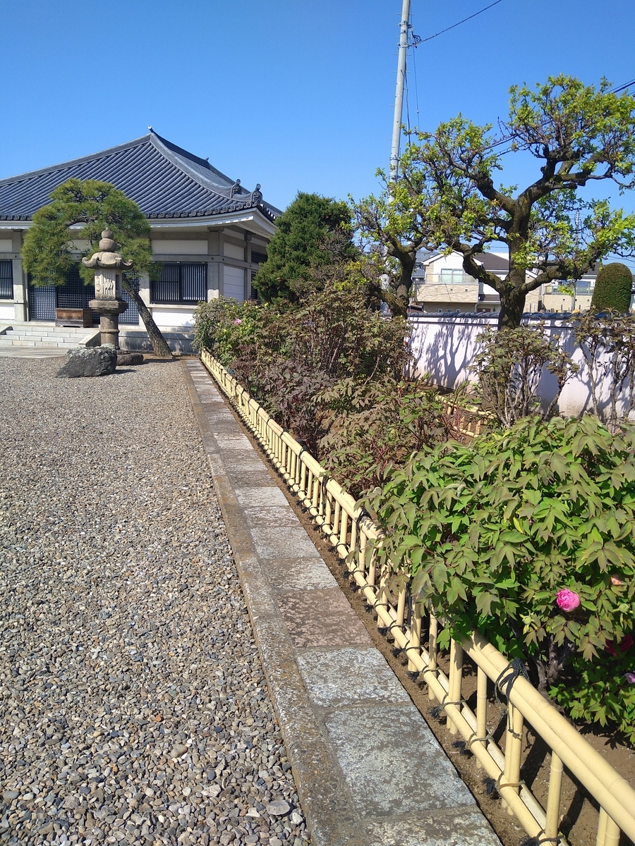 f:id:chuudaiji:20220410085416j:plain