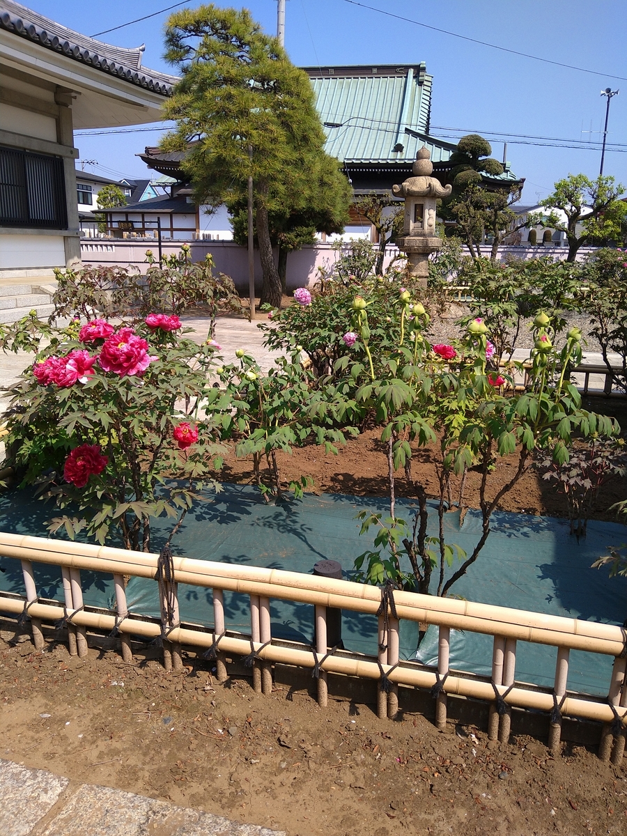 f:id:chuudaiji:20220412094330j:plain