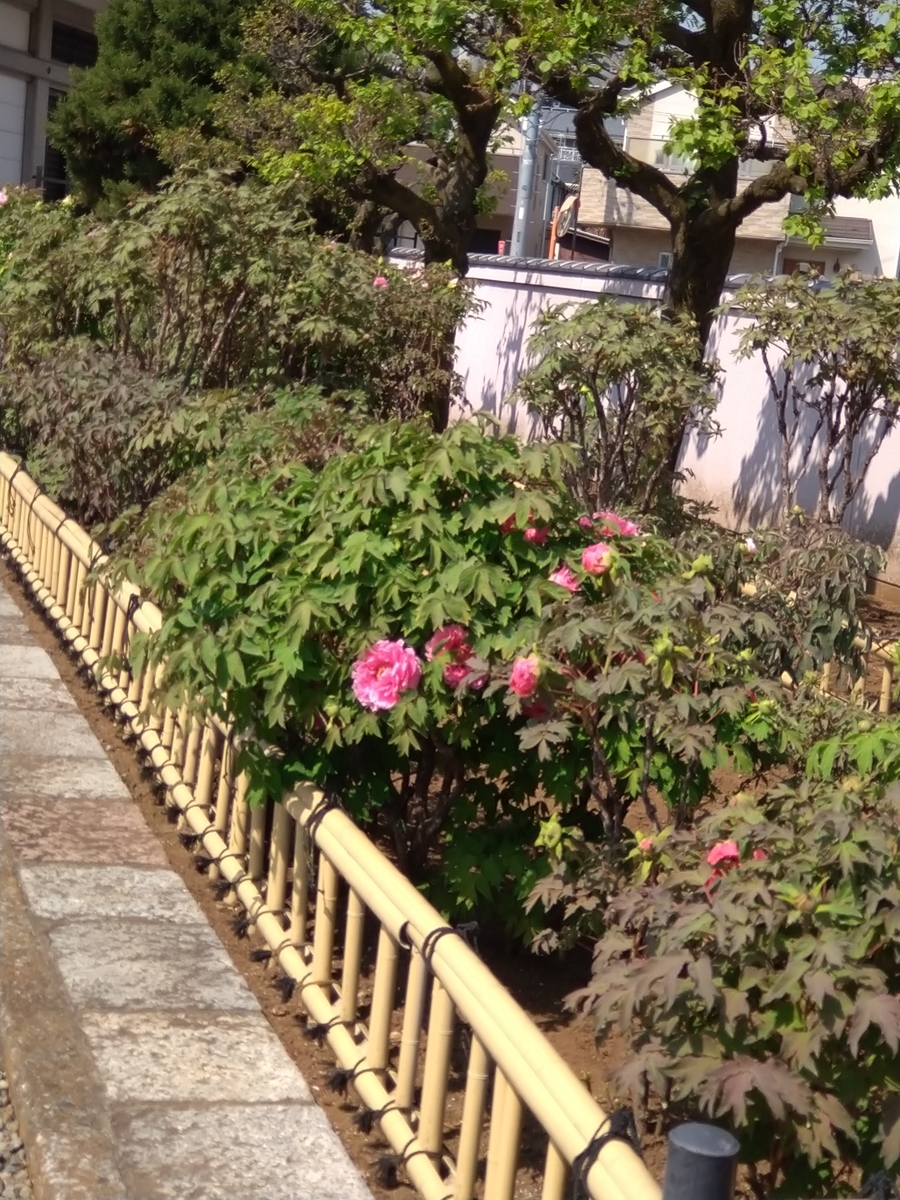 f:id:chuudaiji:20220412094728j:plain