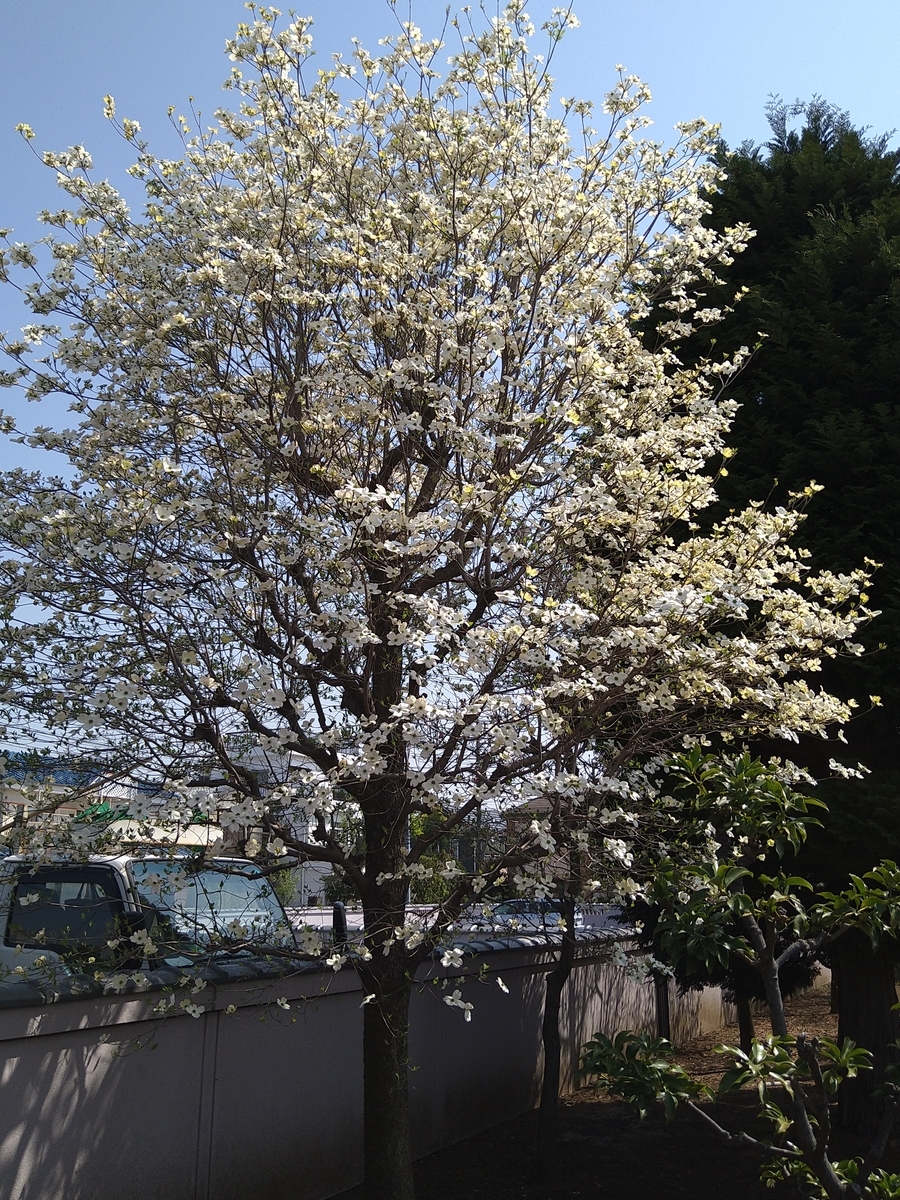 f:id:chuudaiji:20220412095324j:plain