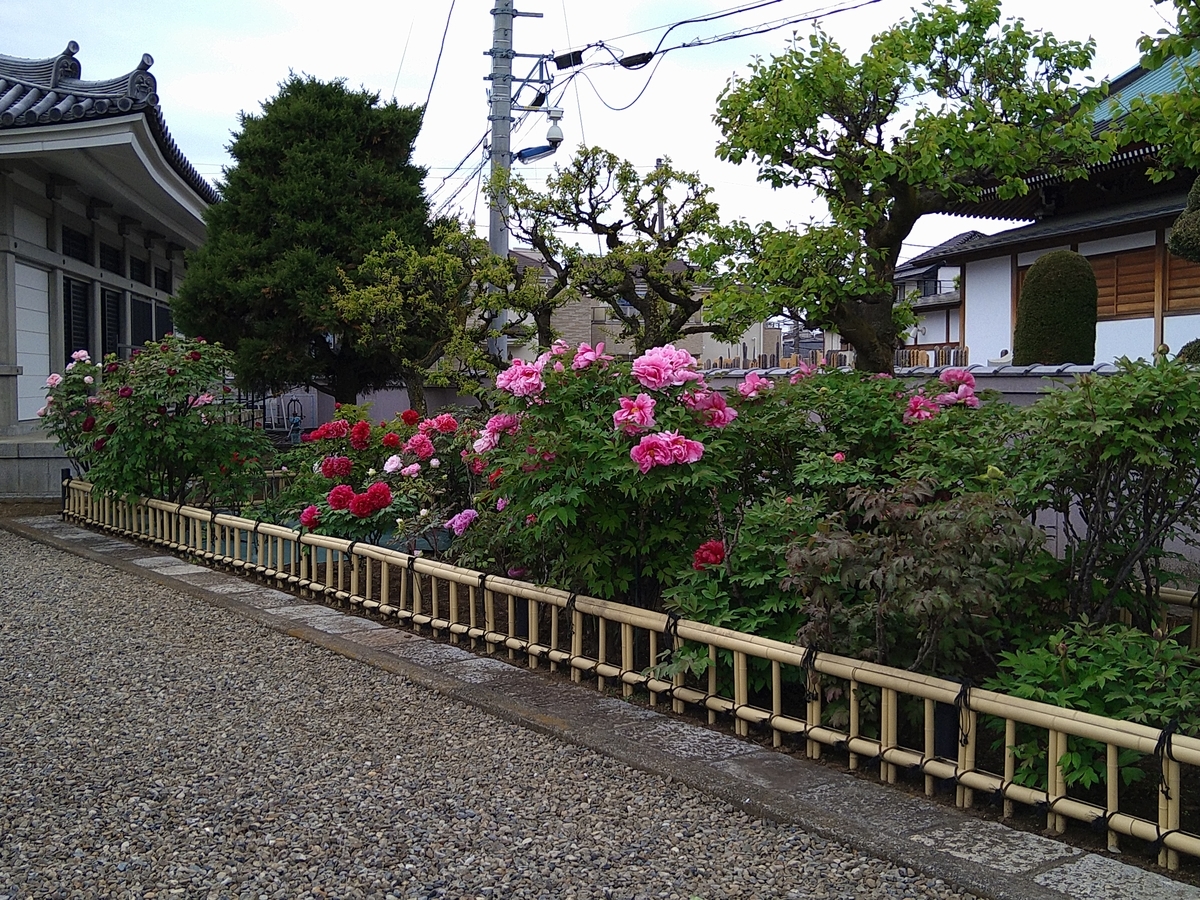 f:id:chuudaiji:20220417134802j:plain