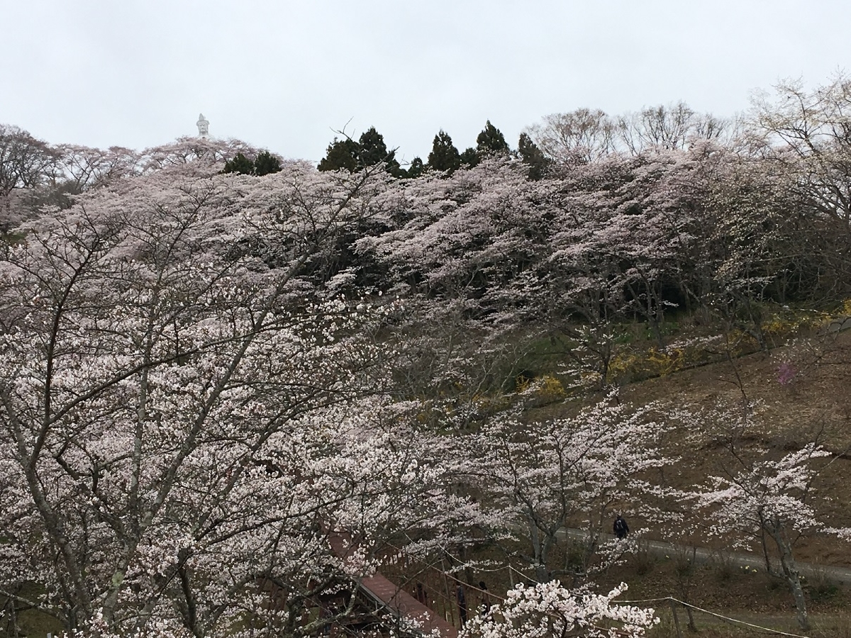 f:id:chuukounenrunner:20200904170541j:plain