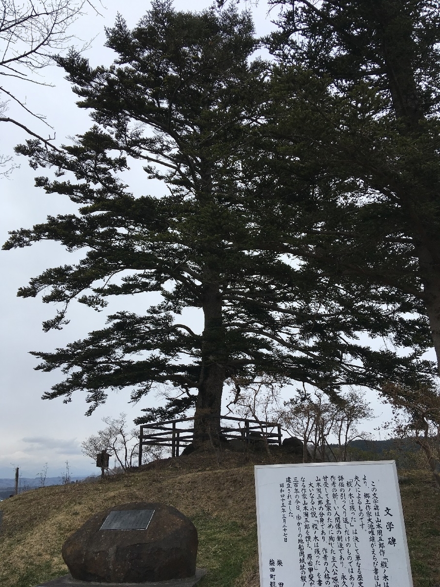 f:id:chuukounenrunner:20200904172326j:plain