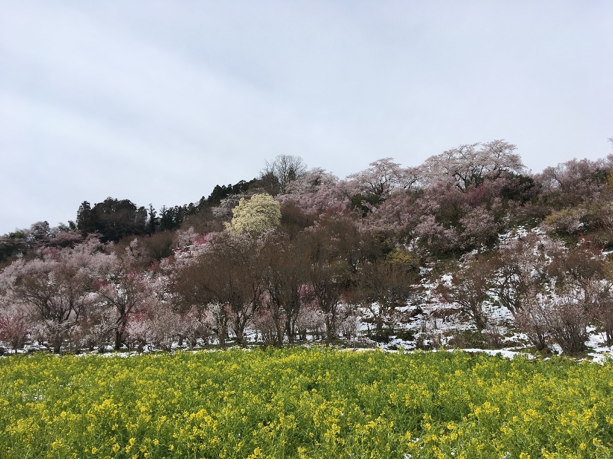 f:id:chuukounenrunner:20200905145029j:plain
