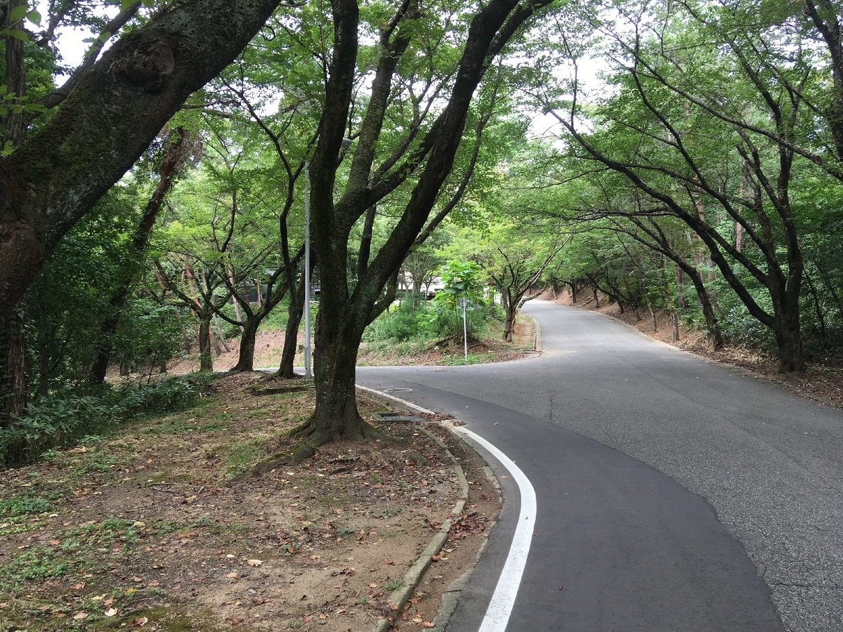 f:id:chuukounenrunner:20200913145223j:plain