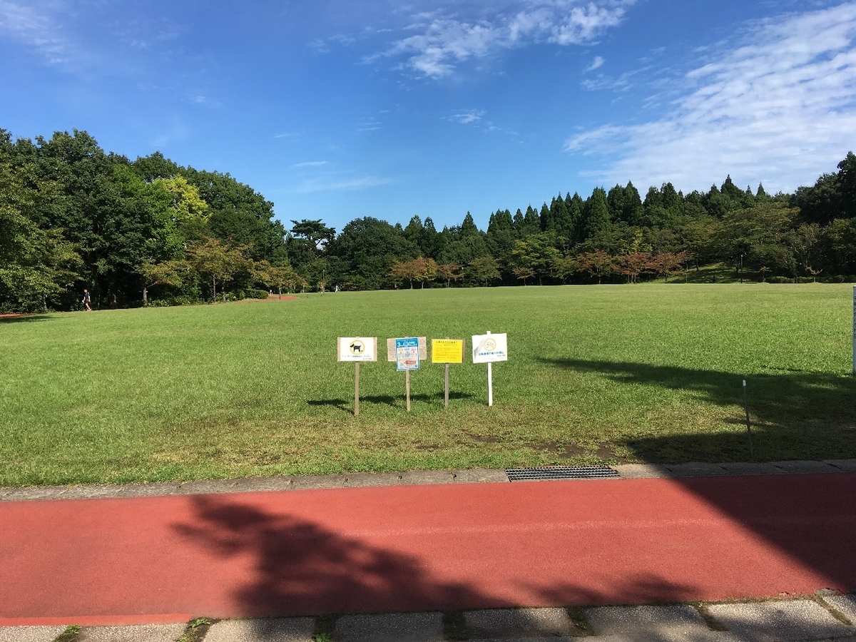 秋田市とその周辺のお勧めランニングコース２ 一つ森公園とその周辺 ある中高年ランナーの悪あが記