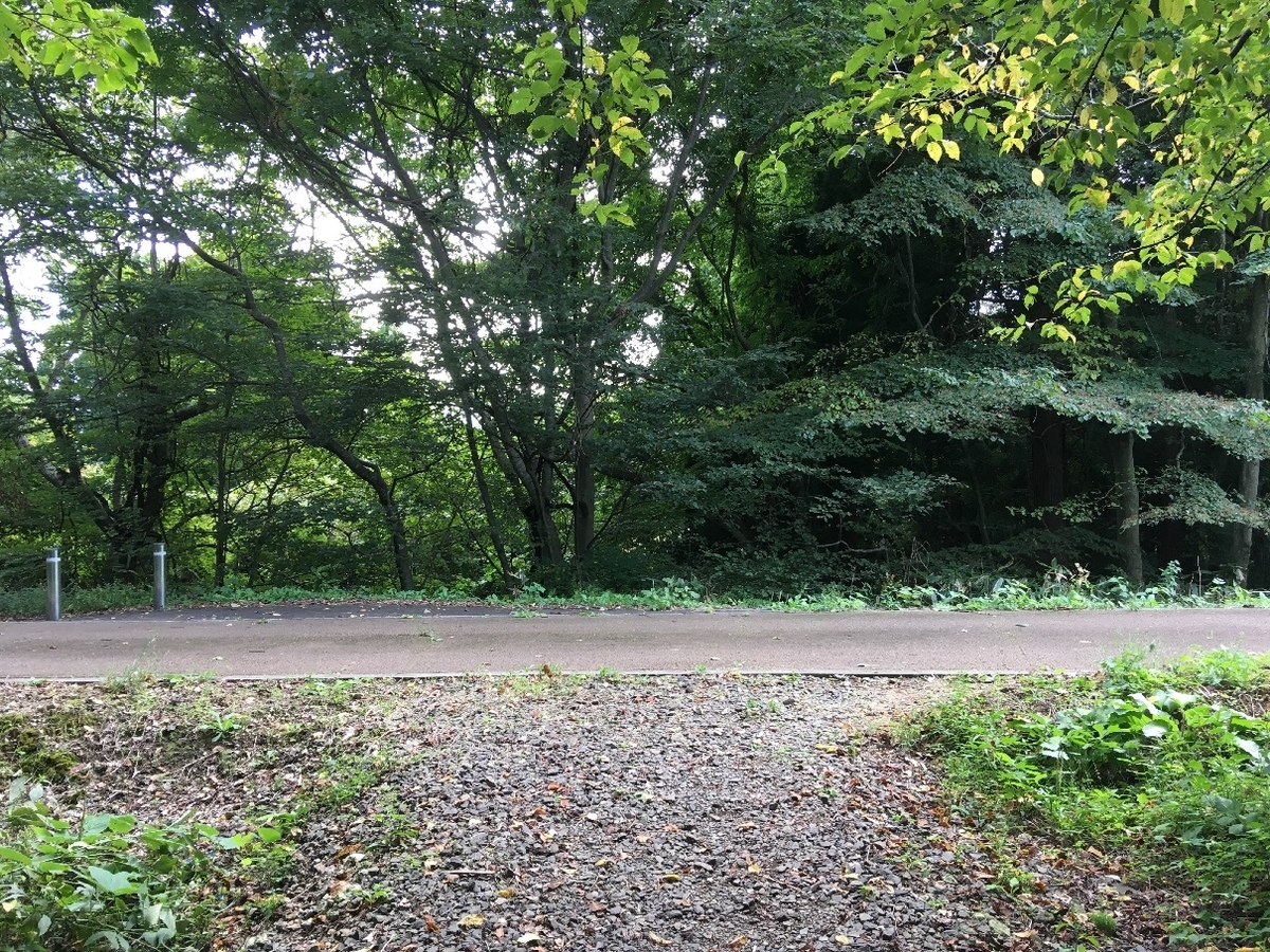 f:id:chuukounenrunner:20200925085003j:plain