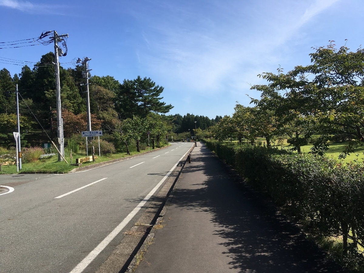 f:id:chuukounenrunner:20200930175639j:plain f:id:chuukounenrunner:20200930175639j:plain