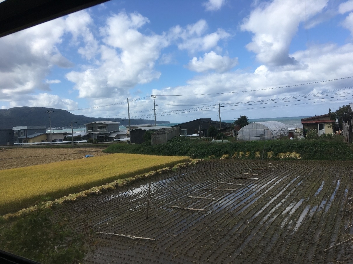 f:id:chuukounenrunner:20201007130708j:plain