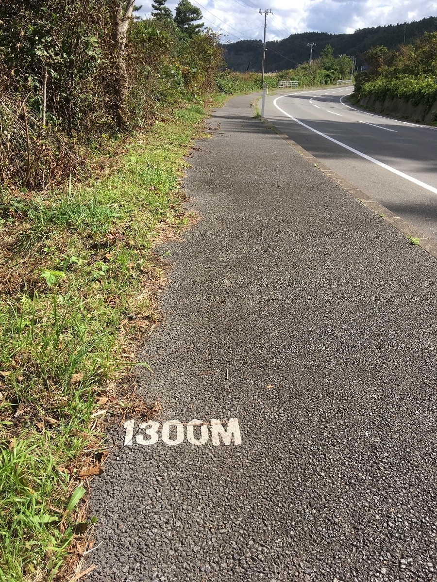f:id:chuukounenrunner:20201007131629j:plain