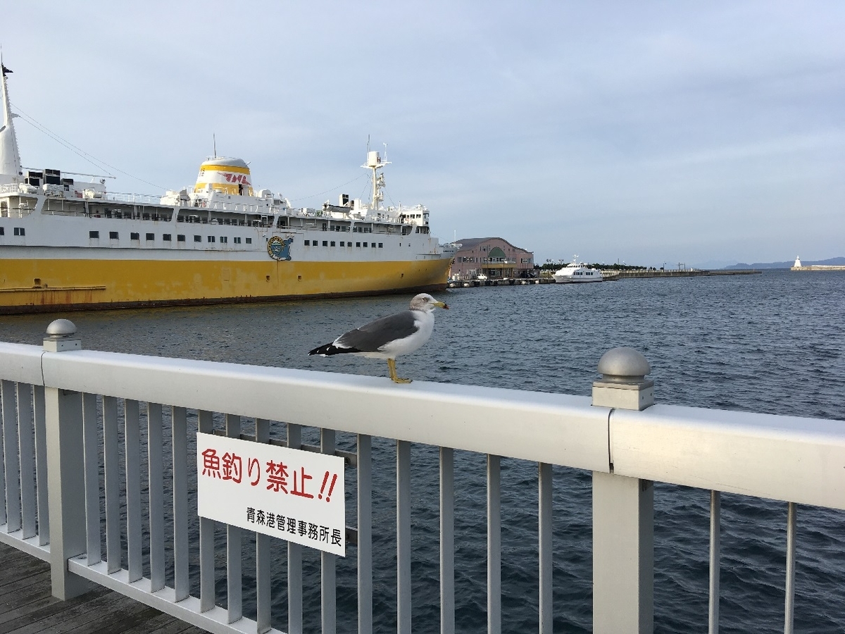 f:id:chuukounenrunner:20201024082843j:plain