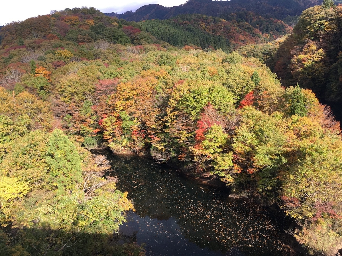f:id:chuukounenrunner:20201027174928j:plain f:id:chuukounenrunner:20201027174928j:plain