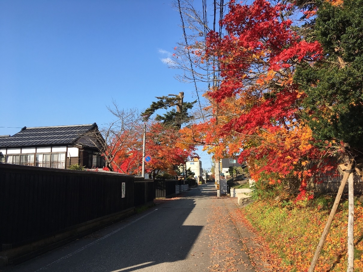f:id:chuukounenrunner:20201113091005j:plain f:id:chuukounenrunner:20201113091005j:plain