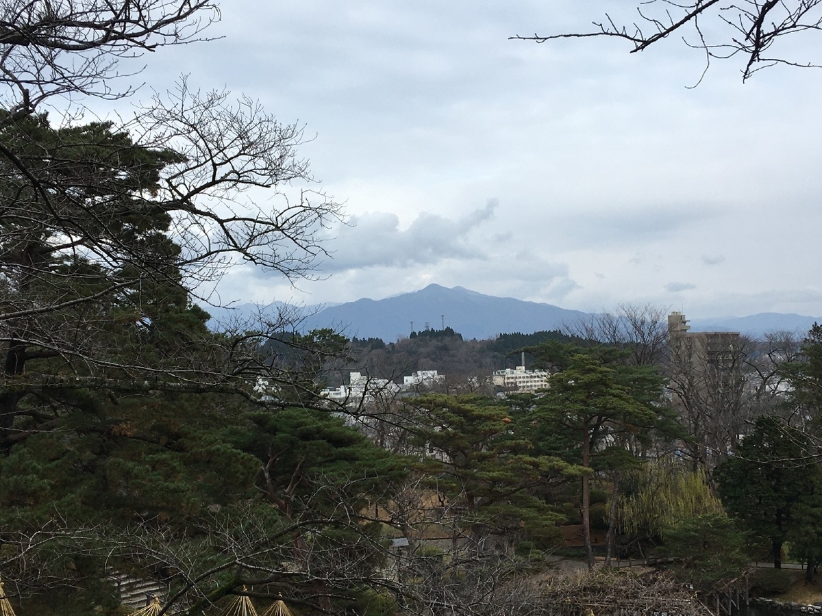 f:id:chuukounenrunner:20201212183703j:plain
