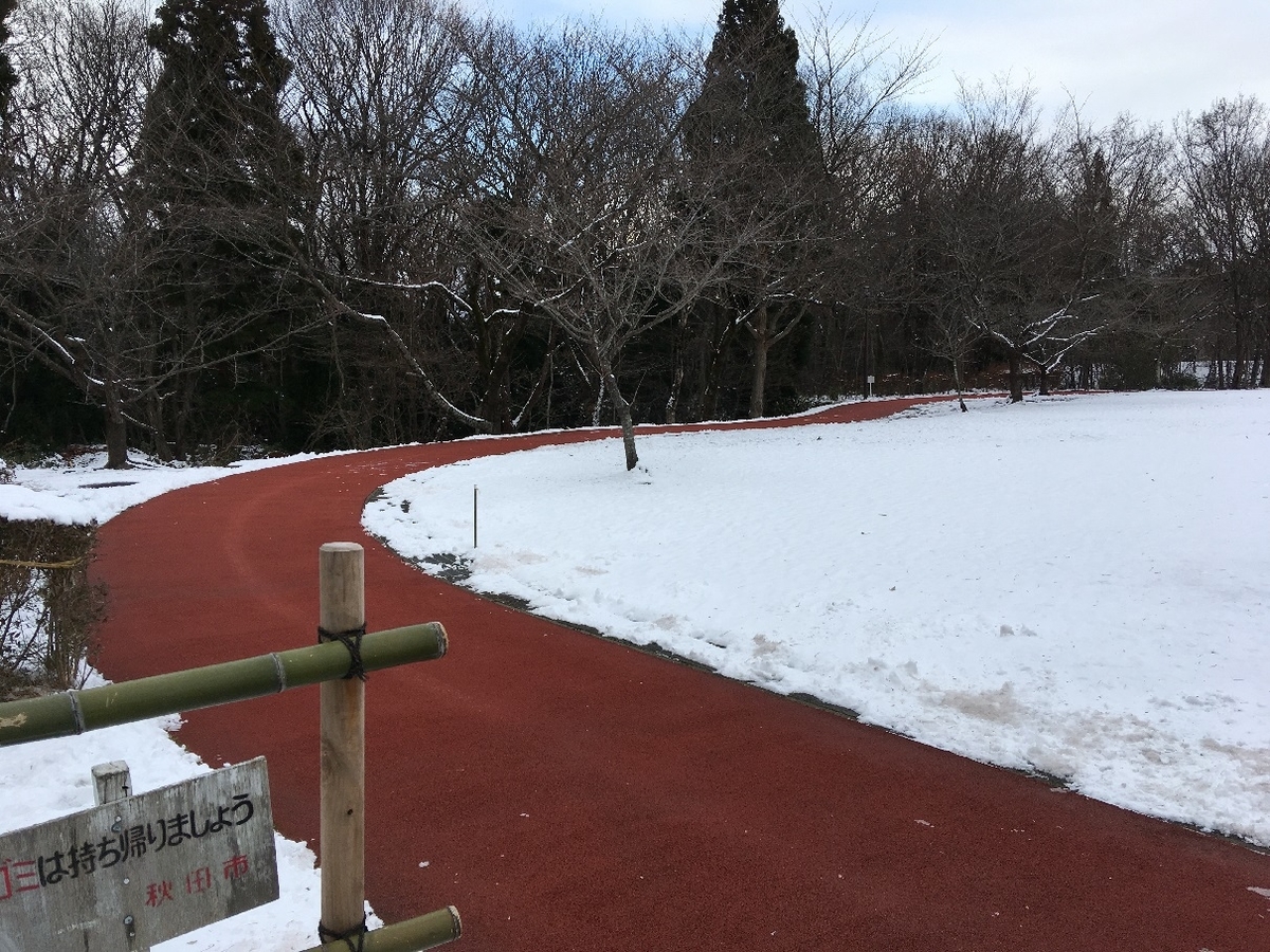 f:id:chuukounenrunner:20201215091300j:plain