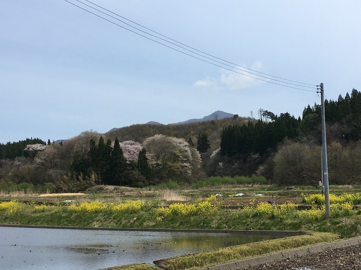 f:id:chuukounenrunner:20210501163608j:plain