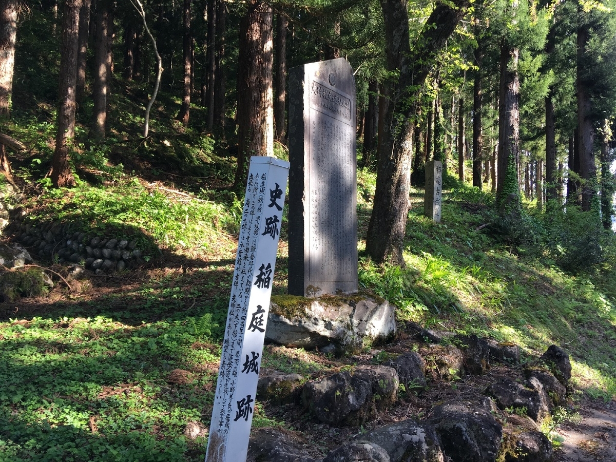 f:id:chuukounenrunner:20210508101844j:plain