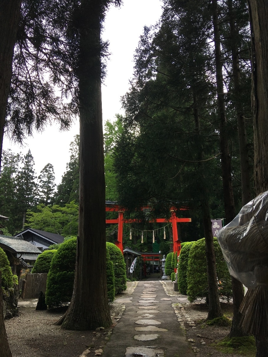 f:id:chuukounenrunner:20210527141724j:plain