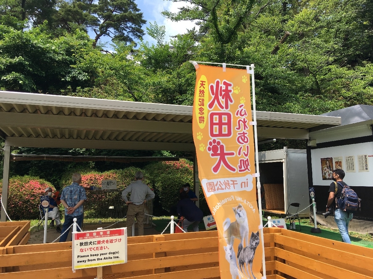 f:id:chuukounenrunner:20210623145653j:plain