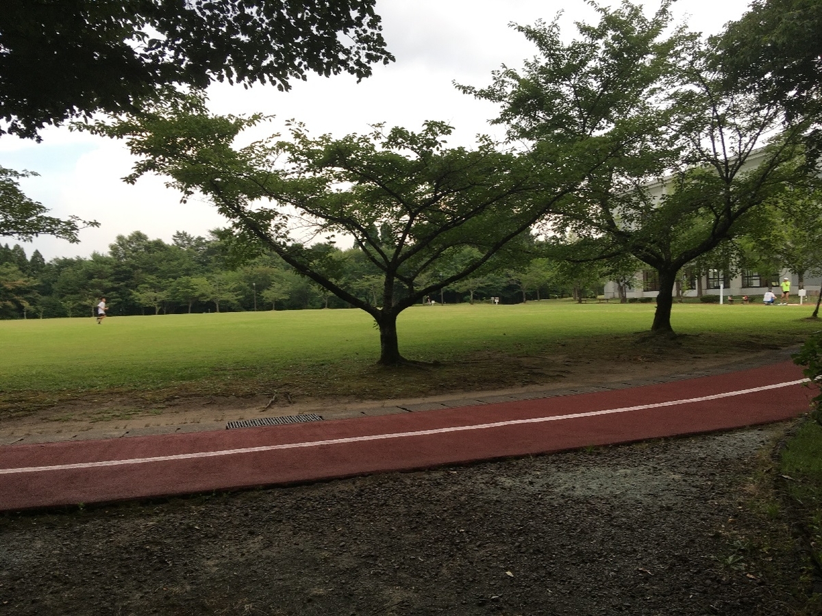 f:id:chuukounenrunner:20210723191146j:plain