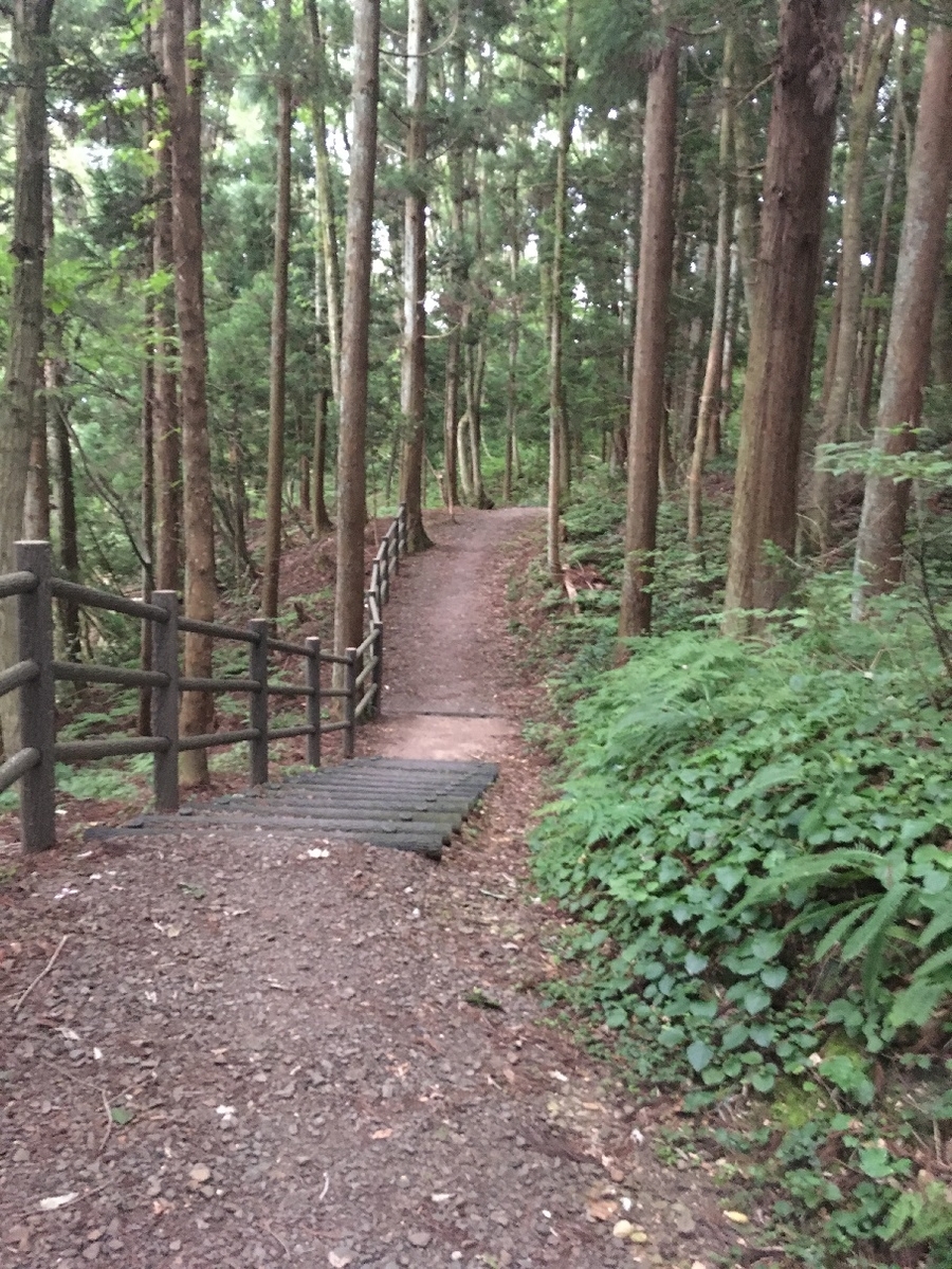 f:id:chuukounenrunner:20210723191312j:plain