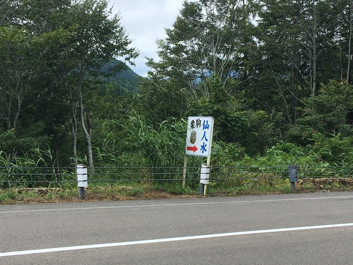 f:id:chuukounenrunner:20210811234725j:plain