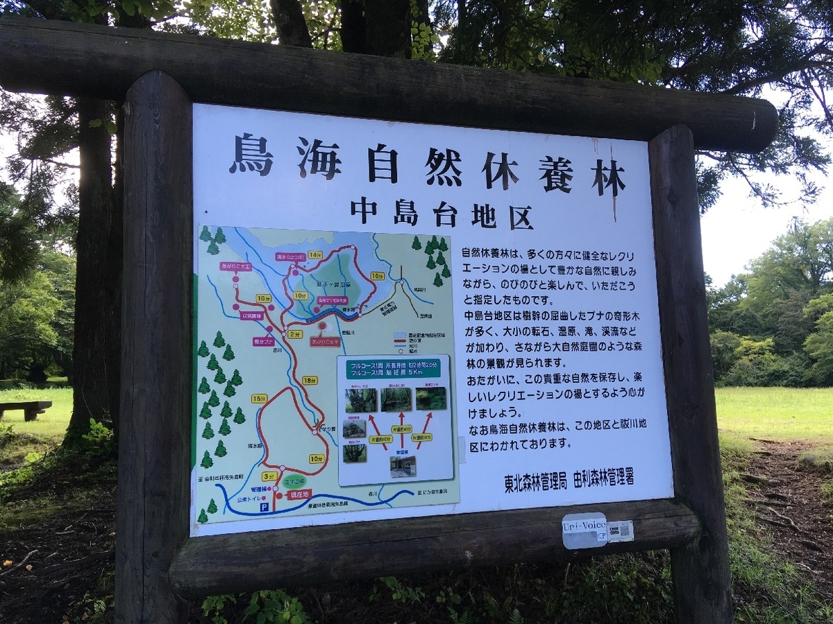 f:id:chuukounenrunner:20210821150925j:plain